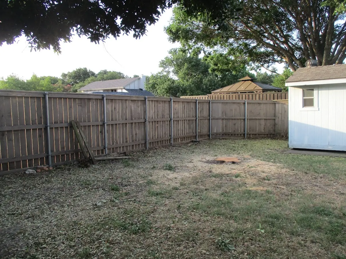 Cleared yard after professional tree removal in South Harwich
